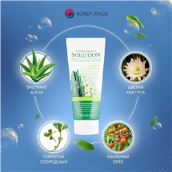 DEOPROCE NATURAL PERFECT SOLUTION CLEANSING FOAM SOAP BERRY & CACTUS FLOWER Пенка для умывания с экстрактом цветков кактуса и мыльным орехом 170г