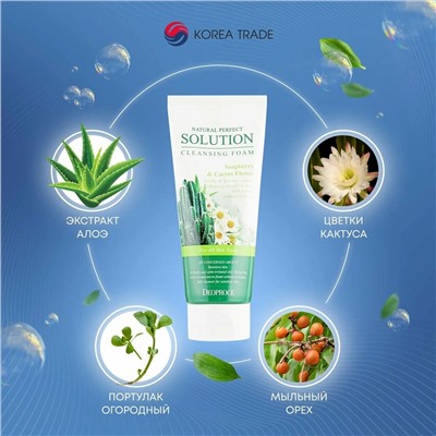 DEOPROCE NATURAL PERFECT SOLUTION CLEANSING FOAM SOAP BERRY & CACTUS FLOWER Пенка для умывания с экстрактом цветков кактуса и мыльным орехом 170г