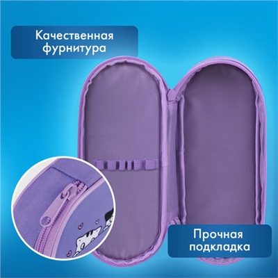 Пенал-футляр BRAUBERG, 1 отделение, органайзер, полиэстер, 22x9х5 см, "Meow", 272312