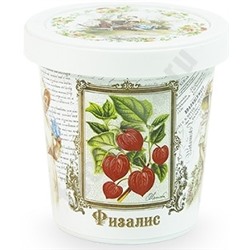Набор для выращивания Физалис, арт. N1507 bum