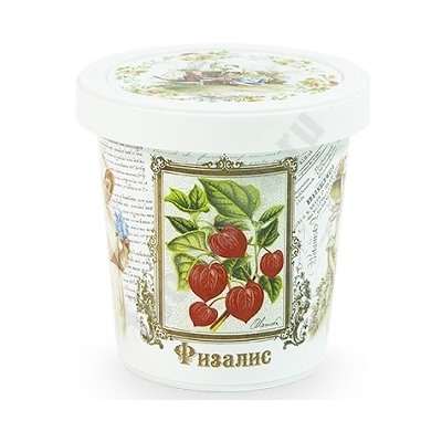 Набор для выращивания Физалис, арт. N1507 bum