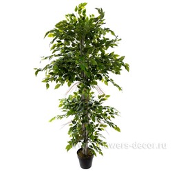 Дерево искусственное "Фикус-Лиана", Н160 см