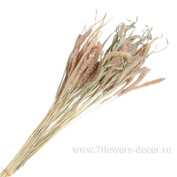 Букет из сухих колосовых культур "Могар", H60 см