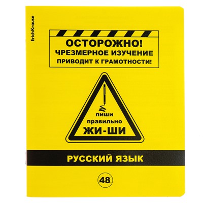 Тетрадь предметная 48 листов в линейку «ErichKrause Be Informed. Русский язык», пластиковая обложка