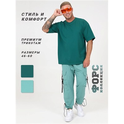 Мужская футболка Плизенд / петроль