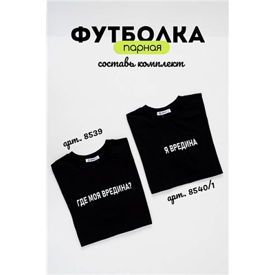 Мужская футболка 8539/1 / черный+вредина