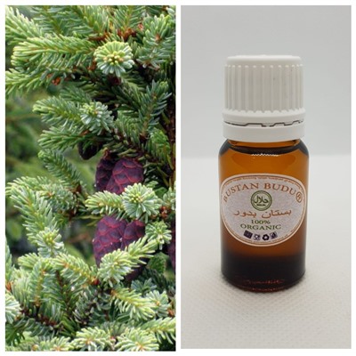 11 Эфирное масло Ель синамская Picea abies L., 10 мл
