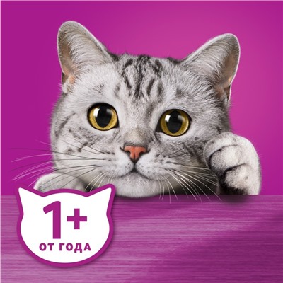 Влажный корм Whiskas для кошек, курица /индейка, паштет, 75 г