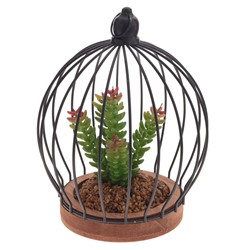 Цветочная композиция "Суккулент", L19 W19 H24 см