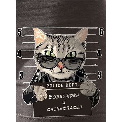 Трусы Опасный кот