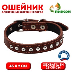 Ошейник кожаный  на синтепоне украшенный, 45 х 2 см, ОШ 25-35 см, коричневый