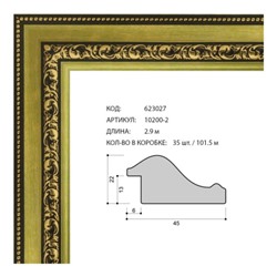 Багет пластиковый 45х22 10200-2 (r683a-x1261) /уп 101,5м/