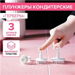 Плунжеры кондитерские «Герберы», набор 3 шт, размеры цветков: 4,3 см, 4,8 см, 5,5 см, пластик, белые