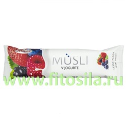 Мюсли батончик в йогурте ЛЕСНАЯ СМЕСЬ - БАД, 30 г