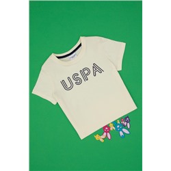 Boy Cream Cream Basic Bicycle Yaka T -Fish Surprise Scount в корзине
