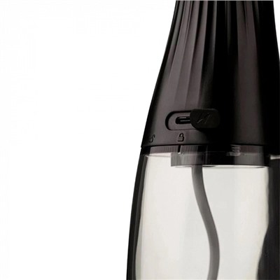 Ирригатор Revyline RL 220 (черный)