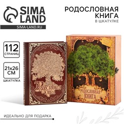 Родословная книга в шкатулке «Древо жизни», 56 листов, 20 х 26 см.