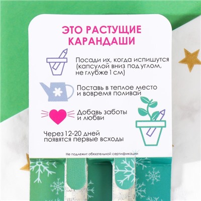 Набор для выращивания, карандаши подарочные новогодние «Голубая Ель + Сосна», mini, простые чернографитные, 2 шт.