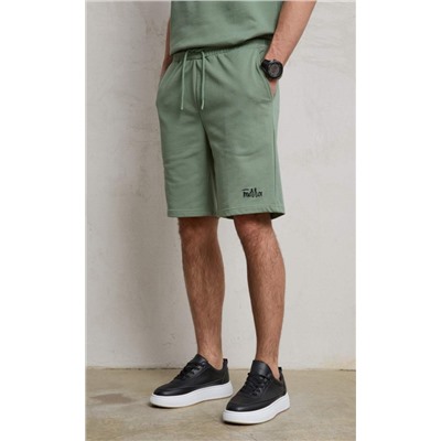 Шорты P411-0984 olive