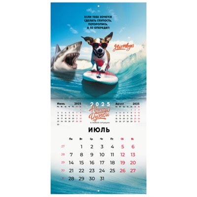 Календарь настенный перекидной на 2025 г., BRAUBERG, 12 листов, 29х29 см, "Не падай духом", 116163