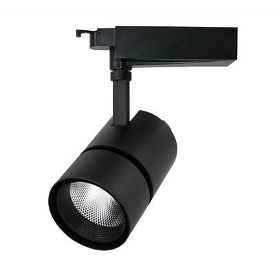 Светильник потолочный Artelamp A2450PL-1BK