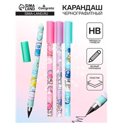 Карандаш чернографитный НВ, вечный, с рисунком, МИКС