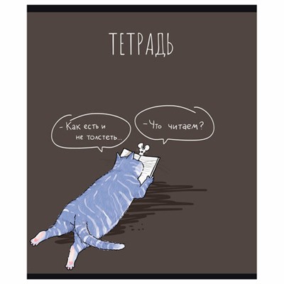 Тетрадь 24 л. ПЗБМ, клетка, выборочный лак, брайль, "Умный мышонок" (микс в спайке), 13881