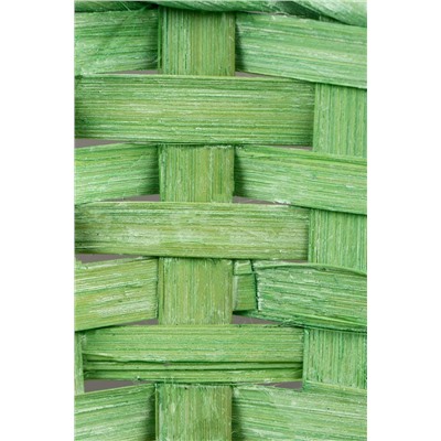 Набор корзин плетёных, 3 шт., 21×21×10 см, 18×18×10 см, 16×16×10 см, бамбук, зелёная